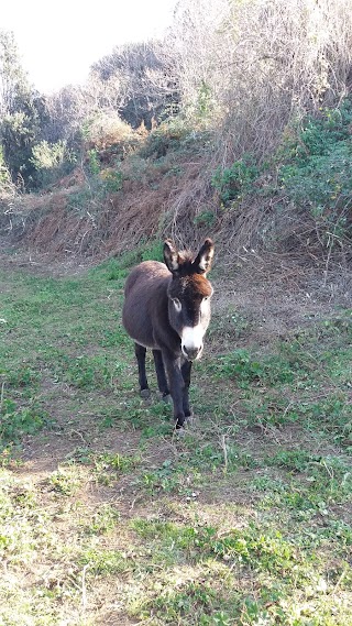 Monte Due Torri