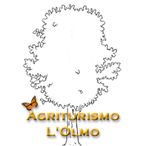 L'Olmo Agriturismo Gambassi Terme (FI)