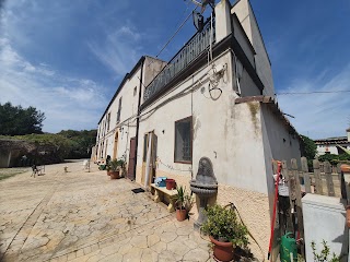 La Collina delle Ginestre