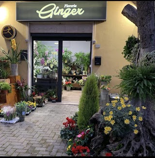 Fioreria Ginger di Previati Laura e C. •Interflora