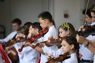 Associazione Istituto Musicale 'Tomaso Albinoni'