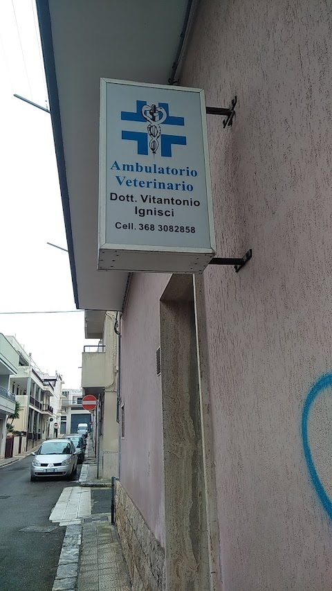 Ambulatorio Veterinario