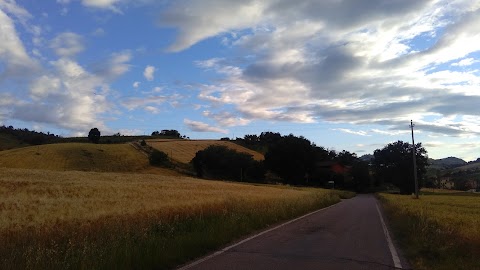 Fattoria Canton del Diavolo di Fernando Venturelli