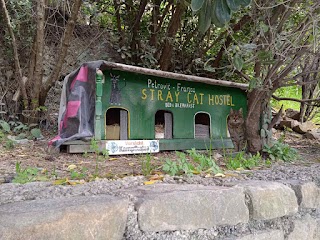 Stray Cat Hostel