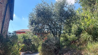 La Casa Della Lavanda B&B