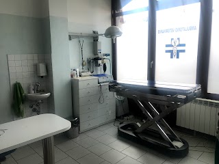 Veterinario Monza