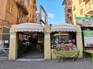 Rose e Cose - Piante, Fiori, Articoli da Regalo - Fioraio Genova