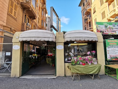 Rose e Cose - Piante, Fiori, Articoli da Regalo - Fioraio Genova