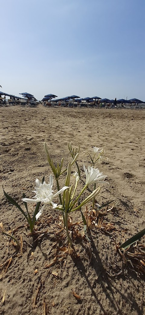 Blu Village 1, Marina Di Pisticci