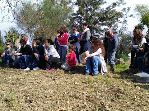 Jacaranda Center - Grounding Institute