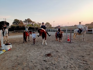 Maneggio scuola pony e cavalli Francy Manca Team