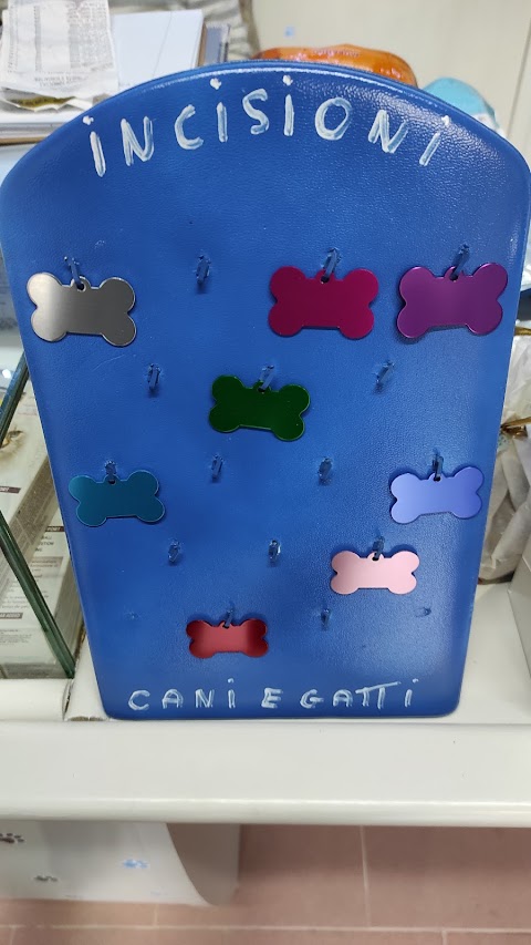 Cani e Gatti