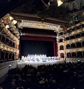 Teatro Petruzzelli