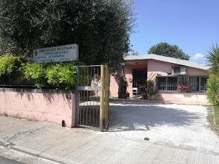 Centro Assistenza Veterinaria