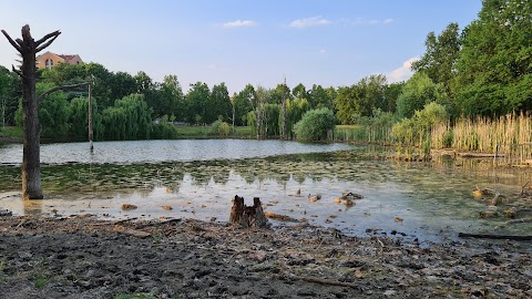 Stagno della Pellerina