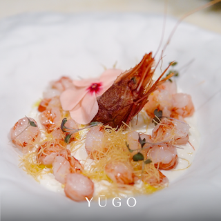 Yugo sushi fusion experience