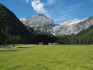 Malga Bedole