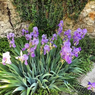 Sentiero Atestino - Monte piccolo