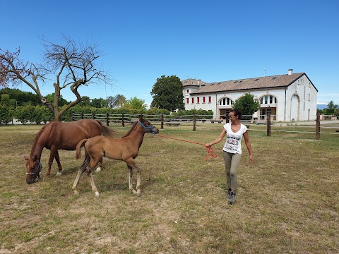 B&B Ranch Borgo Bella Vita