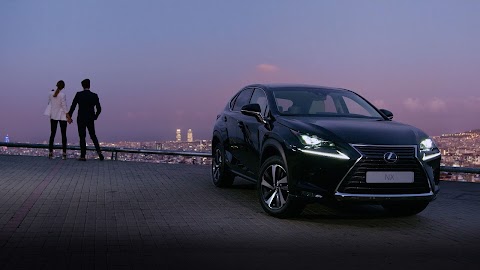 LEXUS FIRENZE SUD - BI AUTO