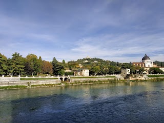 Albertini dott.ssa Cristina