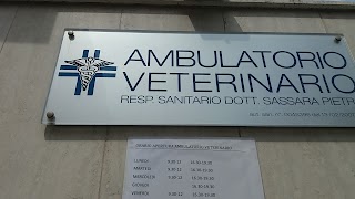 Ambulatorio veterinario Dott Sassara Pietro