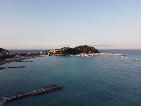 Spiaggia per cani