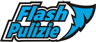 Flash Servizi di Pulizia