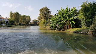 Istituto Regionale Per Le Ville Venete