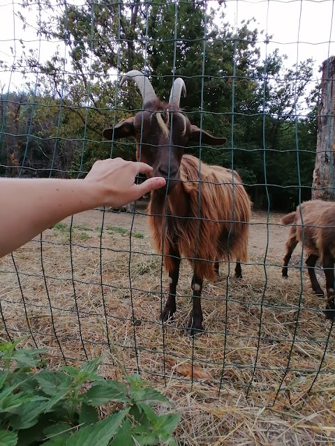 Agriturismo Monterosato