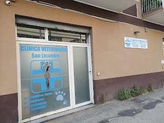 Clinica Veterinaria San Licandro Di Calabrese Dott. Ottavio