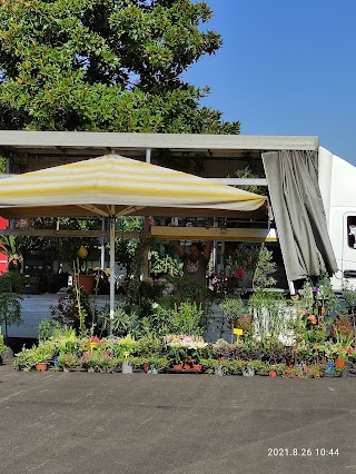 Piazza Mercato