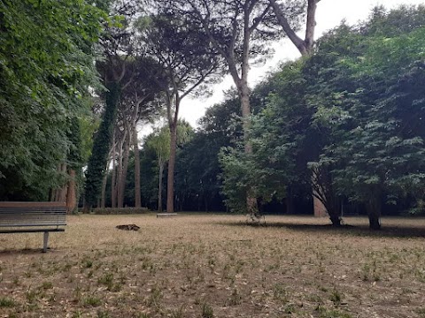 Pineta della Reggia di Caserta