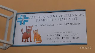 Ambulatorio Veterinario Associato Tampieri E Malfatti