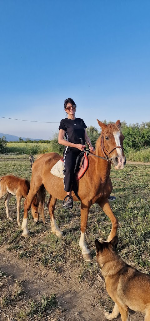 Maneggio Scuola Equitazione Passeggiate a Cavallo Vento Dell'Est