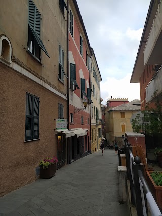 Libreria Sabina Arenzano