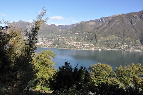 Elide Montanari - Guida Turistica autorizzata Brescia , Iseo , Garda