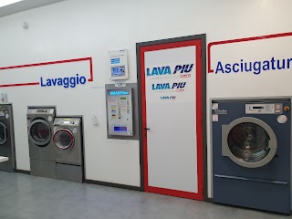 Lavapiù Miele