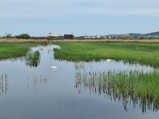 Riserva naturale Val Stagnon