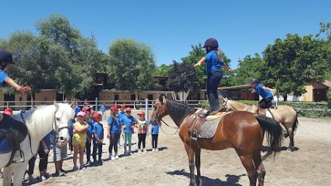 ASD Centro Ippico Country Club