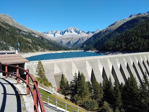 Campo Scout Malga Bissina