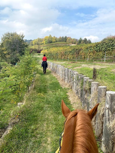 Equiturismo Monferrato