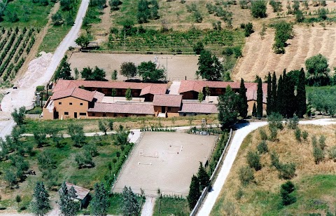 Scuola Equitazione Fiorentina