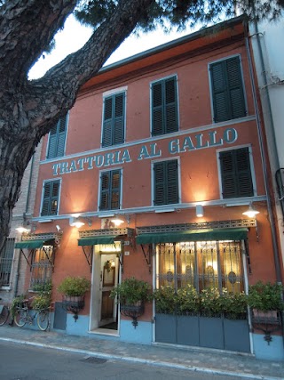 Antica Trattoria Al Gallo 1909