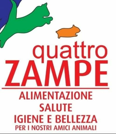 Quattro Zampe di Dicara Giuseppe