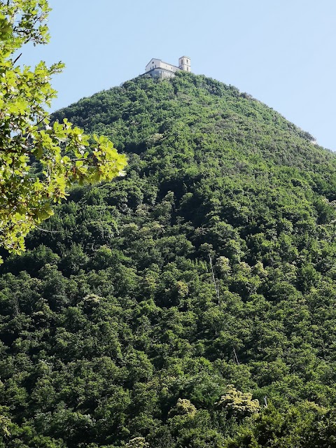 Bioparco di Montella