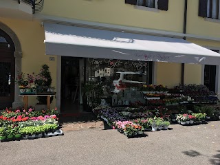 Fiori Foglie E Fantasia Di Alt Consuelo