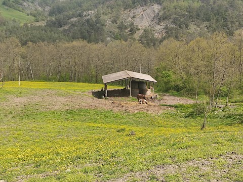 La Collina dei cavalli