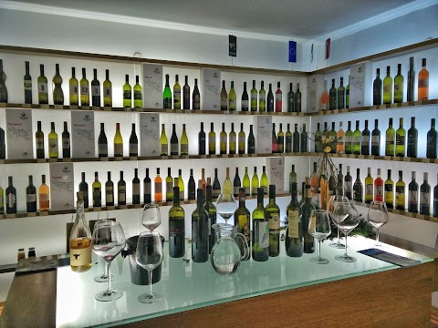 Vinoteka Vipava - Wine Shop