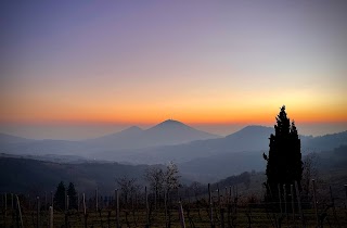 Sentiero n. 10 Monte Gallo, delle Grotte e delle Basse